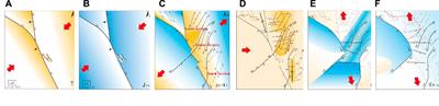 Structural evolution characteristics and genesis of buried hill faults in the Chengdao–Zhuanghai area